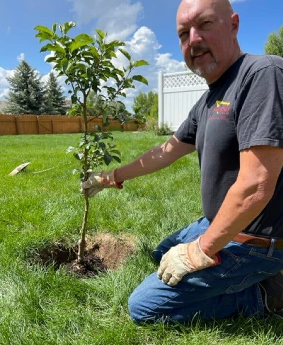 如何种植苹果树/How to Plant an Apple Tree