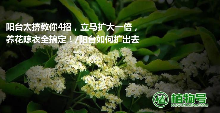 阳台太挤教你4招，立马扩大一倍，养花晾衣全搞定！/阳台如何扩出去