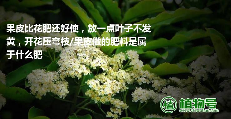 果皮比花肥还好使，放一点叶子不发黄，开花压弯枝/果皮做的肥料是属于什么肥