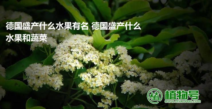 德国盛产什么水果有名 德国盛产什么水果和蔬菜