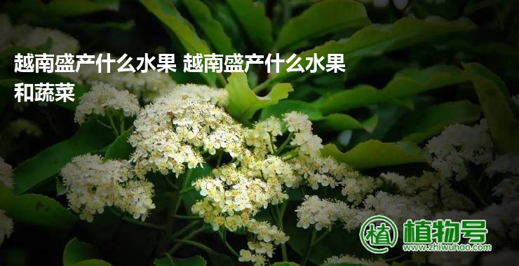 越南盛产什么水果 越南盛产什么水果和蔬菜