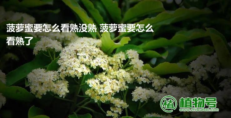 菠萝蜜要怎么看熟没熟 菠萝蜜要怎么看熟了