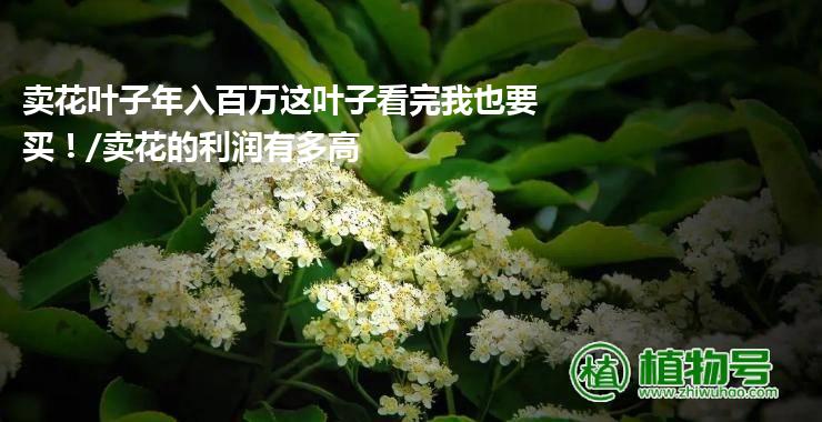 卖花叶子年入百万这叶子看完我也要买！/卖花的利润有多高