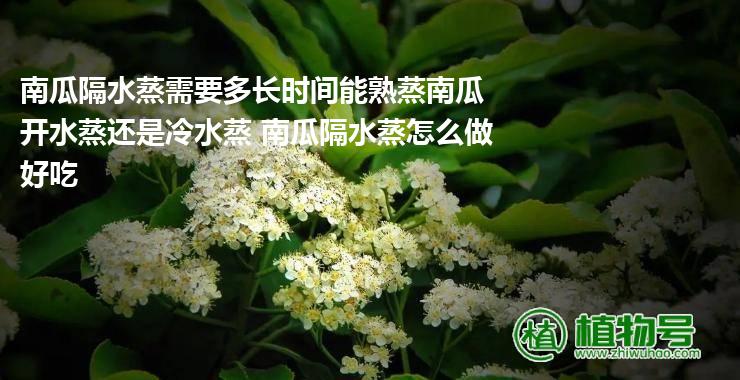 南瓜隔水蒸需要多长时间能熟蒸南瓜开水蒸还是冷水蒸 南瓜隔水蒸怎么做好吃