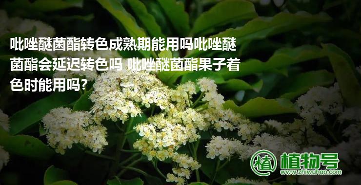 吡唑醚菌酯转色成熟期能用吗吡唑醚菌酯会延迟转色吗 吡唑醚菌酯果子着色时能用吗?