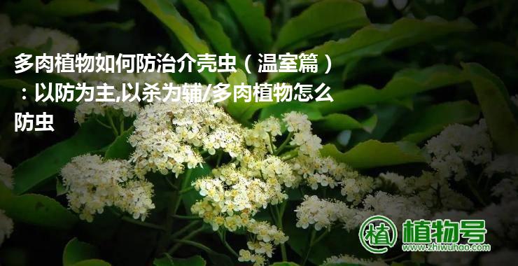 多肉植物如何防治介壳虫（温室篇）：以防为主,以杀为辅/多肉植物怎么防虫