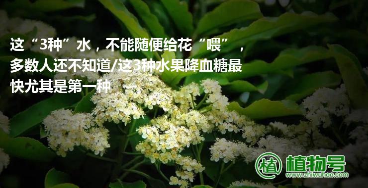 这“3种”水，不能随便给花“喂”，多数人还不知道/这3种水果降血糖最快尤其是第一种