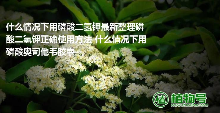 什么情况下用磷酸二氢钾最新整理磷酸二氢钾正确使用方法 什么情况下用磷酸奥司他韦胶囊