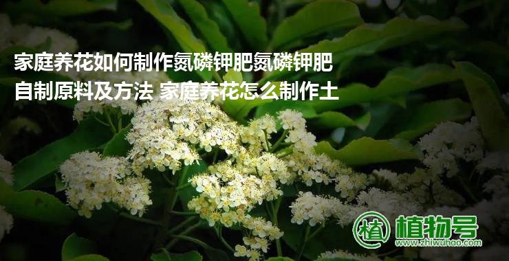 家庭养花如何制作氮磷钾肥氮磷钾肥自制原料及方法 家庭养花怎么制作土