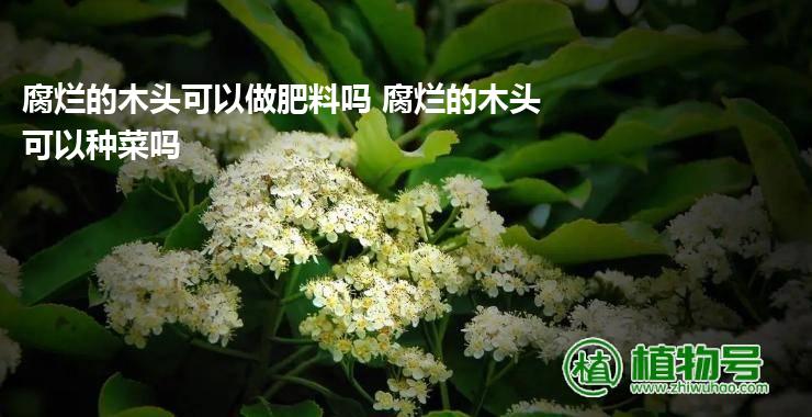 腐烂的木头可以做肥料吗 腐烂的木头可以种菜吗