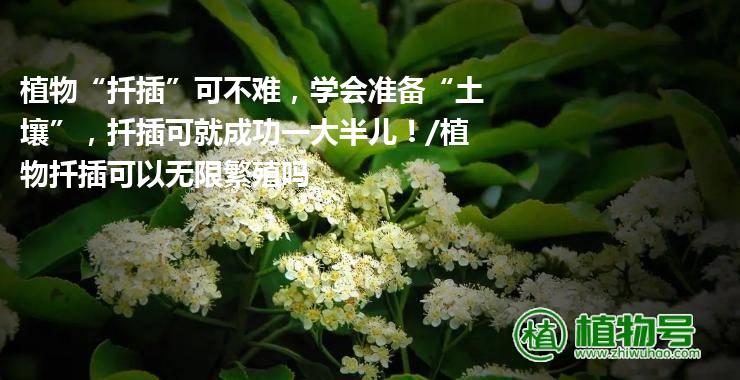 植物“扦插”可不难，学会准备“土壤”，扦插可就成功一大半儿！/植物扦插可以无限繁殖吗