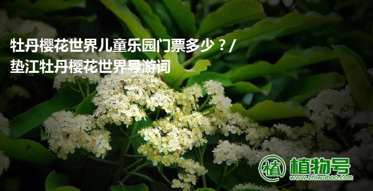 牡丹樱花世界儿童乐园门票多少？/垫江牡丹樱花世界导游词