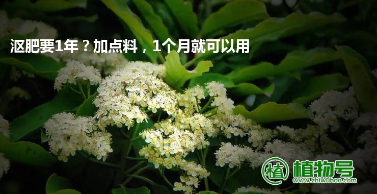 沤肥要1年？加点料，1个月就可以用