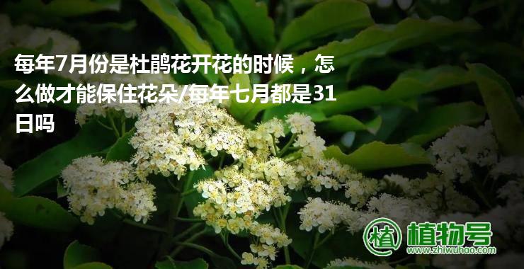 每年7月份是杜鹃花开花的时候，怎么做才能保住花朵/每年七月都是31日吗