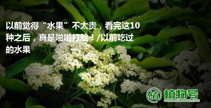 以前觉得“水果”不太贵，看完这10种之后，真是啪啪打脸！/以前吃过的水果