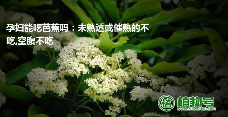 孕妇能吃芭蕉吗：未熟透或催熟的不吃,空腹不吃