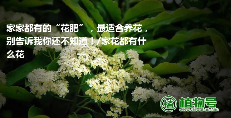 家家都有的“花肥”，最适合养花，别告诉我你还不知道！/家花都有什么花