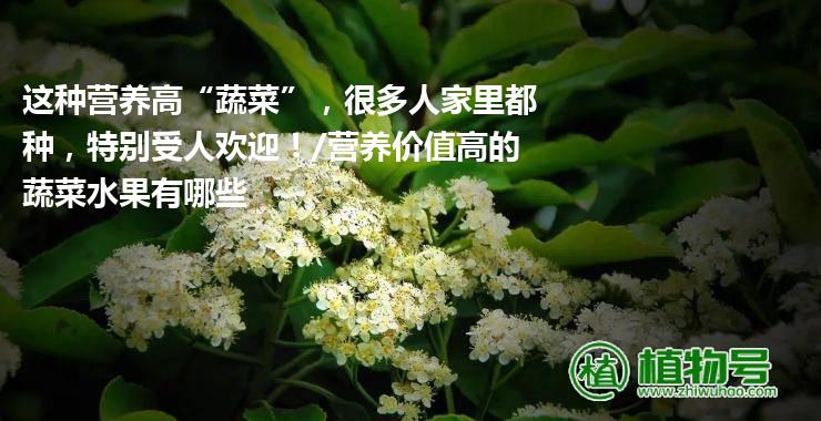 这种营养高“蔬菜”，很多人家里都种，特别受人欢迎！/营养价值高的蔬菜水果有哪些