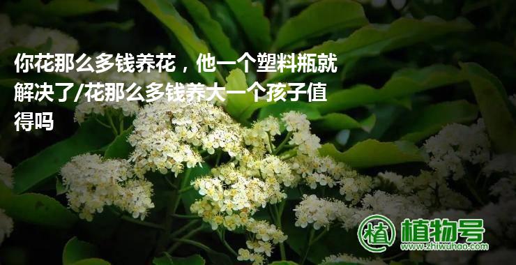 你花那么多钱养花，他一个塑料瓶就解决了/花那么多钱养大一个孩子值得吗