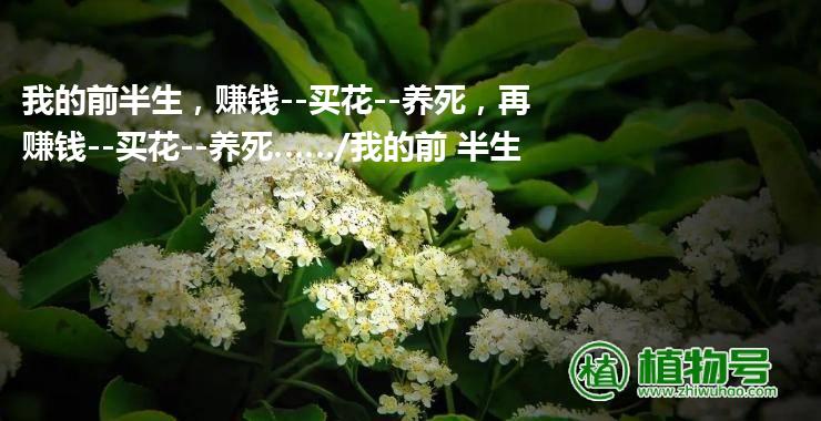 我的前半生，赚钱--买花--养死，再赚钱--买花--养死……/我的前 半生