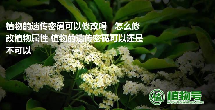 植物的遗传密码可以修改吗   怎么修改植物属性 植物的遗传密码可以还是不可以