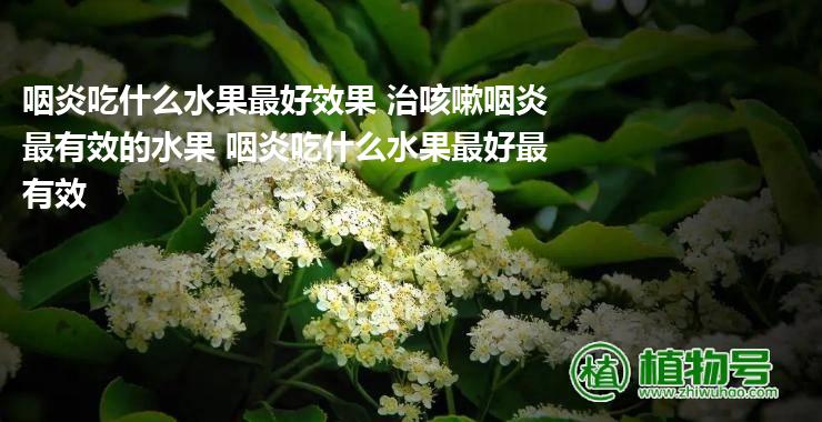 咽炎吃什么水果最好效果 治咳嗽咽炎最有效的水果 咽炎吃什么水果最好最有效