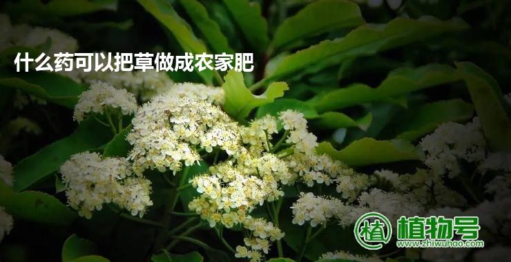 什么药可以把草做成农家肥